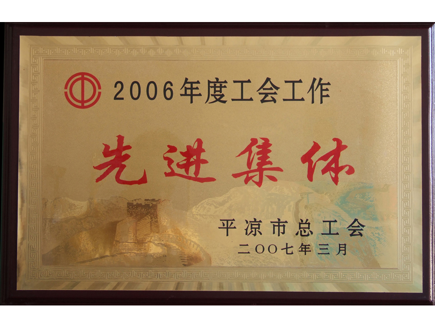 10.2007.3年，市总工会授予公司“工会工作先进集体”.jpg