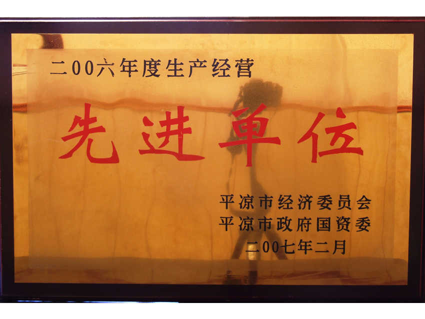 8.2007.2年，市经委、市国资委授予“生产经营先进单位”.jpg